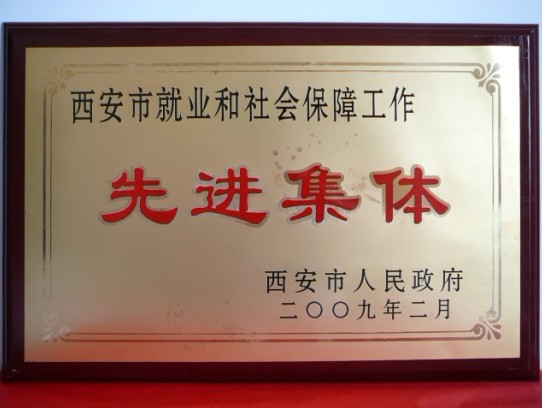 2009年2月，被西安市政府評為西安市就業(yè)和社會保障工作先進集體