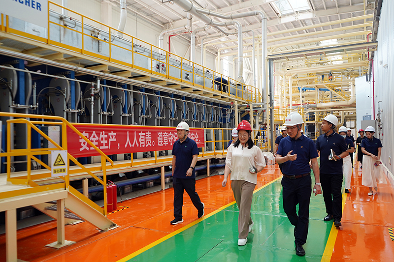 DSC02875.jpg DSC02875.jpg